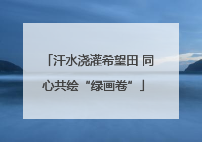 汗水浇灌希望田 同心共绘“绿画卷”