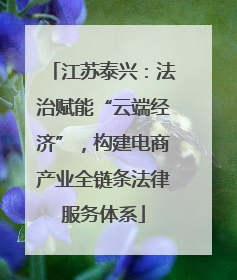 江苏泰兴：法治赋能“云端经济”，构建电商产业全链条法律服务体系