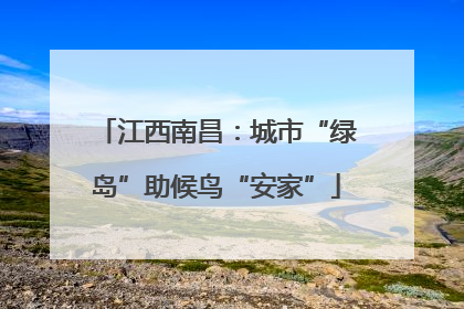 江西南昌：城市“绿岛”助候鸟“安家”
