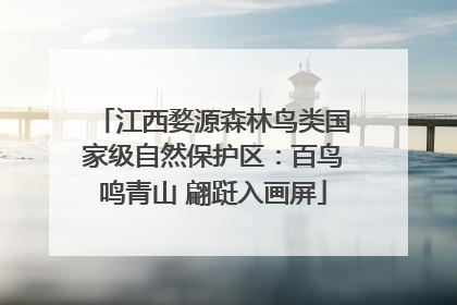 江西婺源森林鸟类国家级自然保护区：百鸟鸣青山 翩跹入画屏