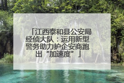 江西泰和县公安局经侦大队：运用新型警务助力护企安商跑出“加速度”