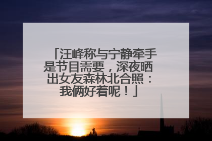 汪峰称与宁静牵手是节目需要，深夜晒出女友森林北合照：我俩好着呢！