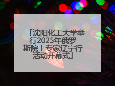 沈阳化工大学举行2025年俄罗斯院士专家辽宁行活动开幕式