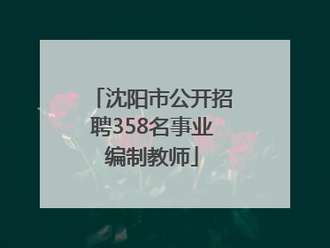 沈阳市公开招聘358名事业编制教师