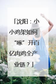 沈阳：小小鸡架如何“啄”开百亿肉鸡全产业链？