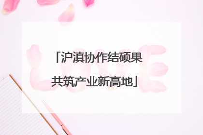 沪滇协作结硕果 共筑产业新高地