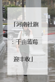 河南社旗：千亩蓝莓迎丰收