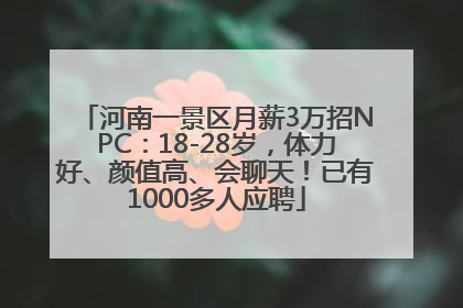 河南一景区月薪3万招NPC：18-28岁，体力好、颜值高、会聊天！已有1000多人应聘