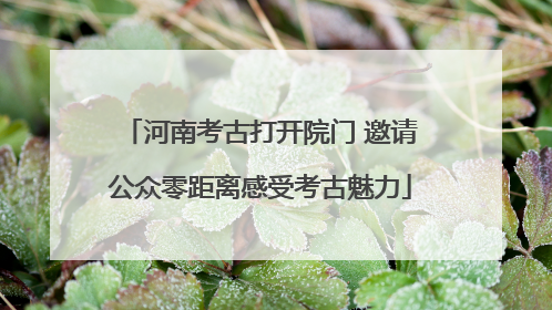 河南考古打开院门 邀请公众零距离感受考古魅力