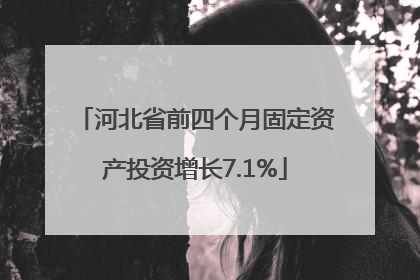 河北省前四个月固定资产投资增长7.1%