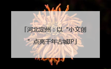 河北定州：以“小文创”点亮千年古城IP