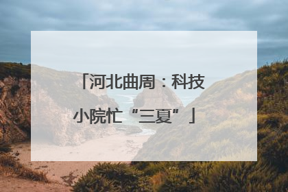 河北曲周：科技小院忙“三夏”