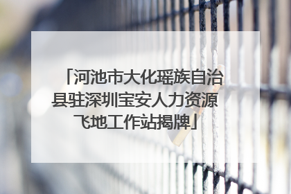 河池市大化瑶族自治县驻深圳宝安人力资源飞地工作站揭牌