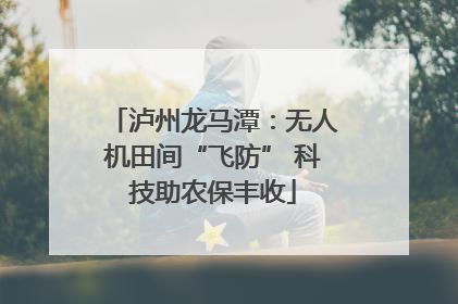 泸州龙马潭：无人机田间“飞防” 科技助农保丰收