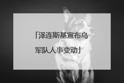 泽连斯基宣布乌军队人事变动