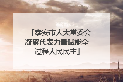 泰安市人大常委会凝聚代表力量赋能全过程人民民主