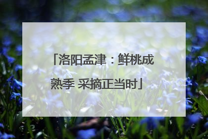 洛阳孟津：鲜桃成熟季 采摘正当时