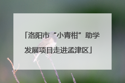 洛阳市“小青柑”助学发展项目走进孟津区