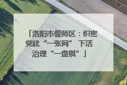 洛阳市偃师区：织密党建“一张网” 下活治理“一盘棋”