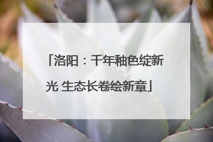 洛阳：千年釉色绽新光 生态长卷绘新章