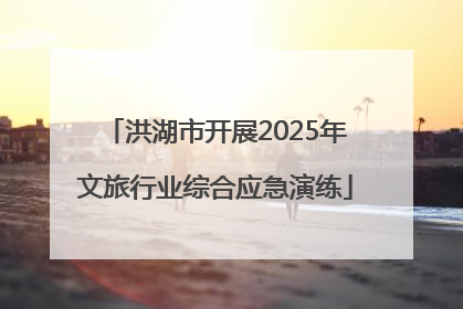 洪湖市开展2025年文旅行业综合应急演练