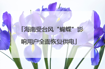 海南受台风“蝴蝶”影响用户全面恢复供电