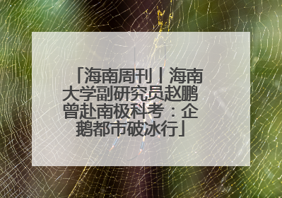 海南周刊丨海南大学副研究员赵鹏曾赴南极科考：企鹅都市破冰行