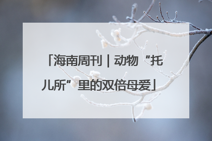 海南周刊｜动物“托儿所”里的双倍母爱