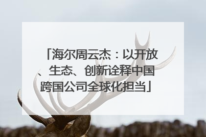 海尔周云杰：以开放、生态、创新诠释中国跨国公司全球化担当