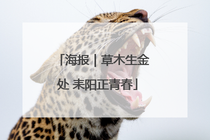 海报｜草木生金处 耒阳正青春