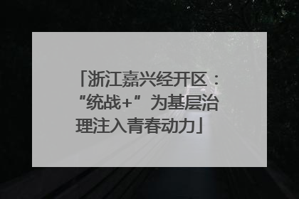 浙江嘉兴经开区：“统战+”为基层治理注入青春动力
