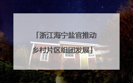 浙江海宁盐官推动乡村片区组团发展