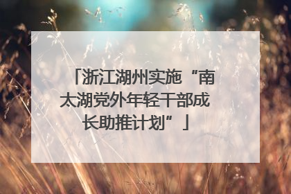 浙江湖州实施“南太湖党外年轻干部成长助推计划”