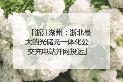 浙江湖州：浙北最大的光储充一体化公交充电站并网投运