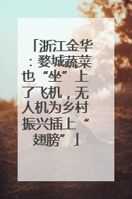 浙江金华：婺城蔬菜也“坐”上了飞机，无人机为乡村振兴插上“翅膀”
