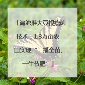 渑池推大豆根瘤菌技术，1.3万亩农田实现“一播全苗、一生节肥”