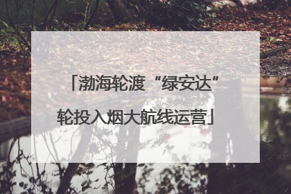 渤海轮渡“绿安达”轮投入烟大航线运营