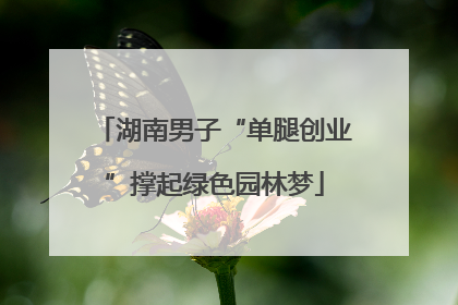 湖南男子“单腿创业”撑起绿色园林梦