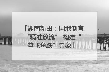 湖南新田：因地制宜“精准放流” 构建“鸢飞鱼跃”景象