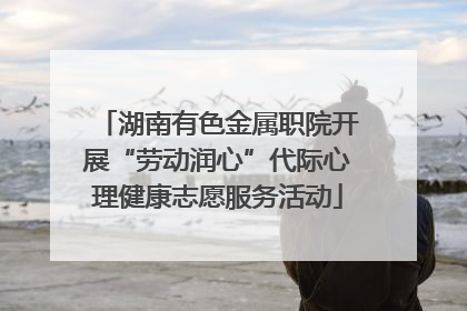 湖南有色金属职院开展“劳动润心”代际心理健康志愿服务活动
