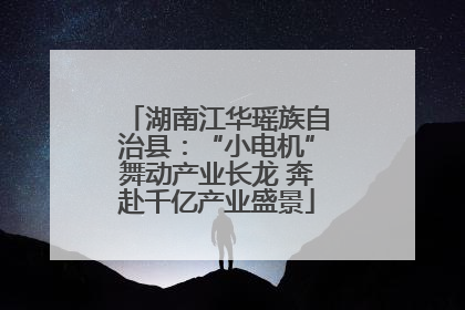 湖南江华瑶族自治县：“小电机”舞动产业长龙 奔赴千亿产业盛景