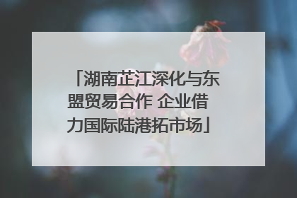 湖南芷江深化与东盟贸易合作 企业借力国际陆港拓市场
