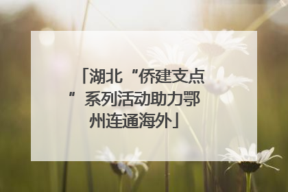 湖北“侨建支点”系列活动助力鄂州连通海外