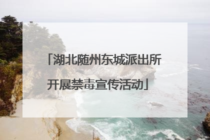 湖北随州东城派出所开展禁毒宣传活动