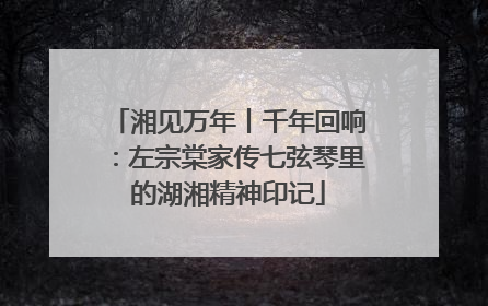 湘见万年丨千年回响：左宗棠家传七弦琴里的湖湘精神印记
