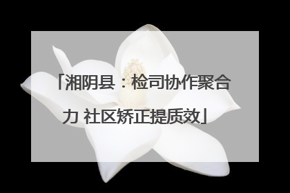 湘阴县：检司协作聚合力 社区矫正提质效
