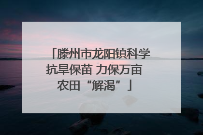滕州市龙阳镇科学抗旱保苗 力保万亩农田“解渴”