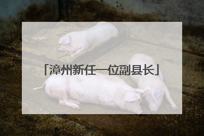 漳州新任一位副县长