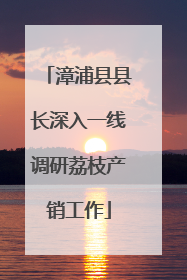 漳浦县县长深入一线调研荔枝产销工作