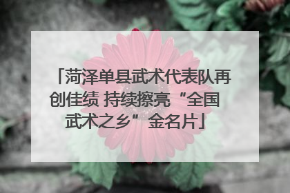 菏泽单县武术代表队再创佳绩 持续擦亮“全国武术之乡”金名片